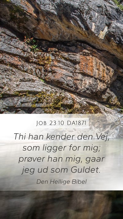 Job 23:10 DA1871 Bible Verse Image
