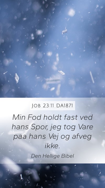 Job 23:11 DA1871 Bible Verse Image