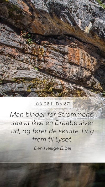 Job 28:11 DA1871 Bible Verse Image