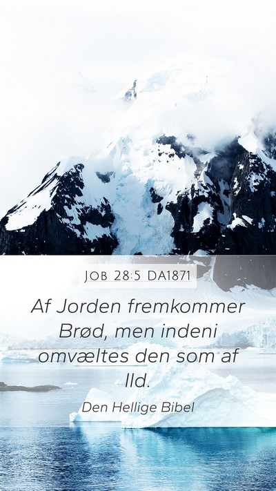 Job 28:5 DA1871 Bible Verse Image