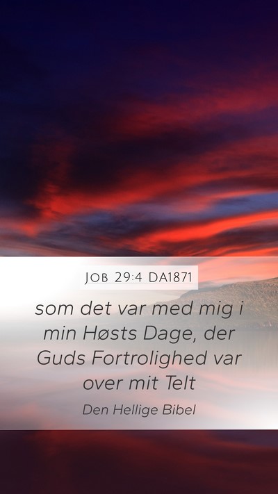 Job 29:4 DA1871 Bible Verse Image