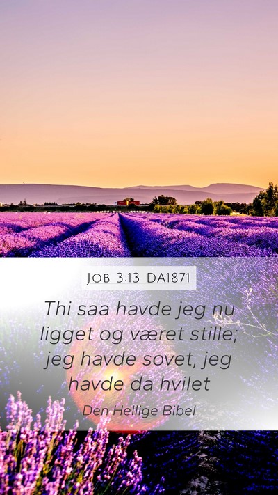 Job 3:13 DA1871 Mobile Phone Wallpaper - Thi saa havde jeg nu ligget og været stille; jeg - Mobile Bible Verse Wallpaper