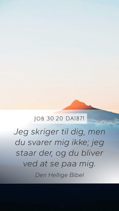 Job 30:20 DA1871 Bible Verse Image