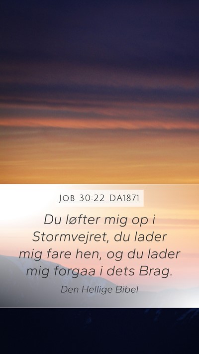 Job 30:22 DA1871 Mobile Phone Wallpaper - Du løfter mig op i Stormvejret, du lader mig - Mobile Bible Verse Wallpaper