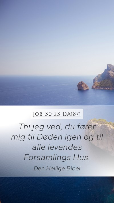 Job 30:23 DA1871 Bible Verse Image