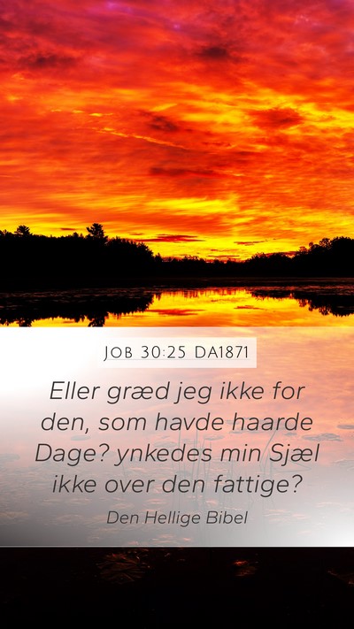 Job 30:25 DA1871 Bible Verse Image