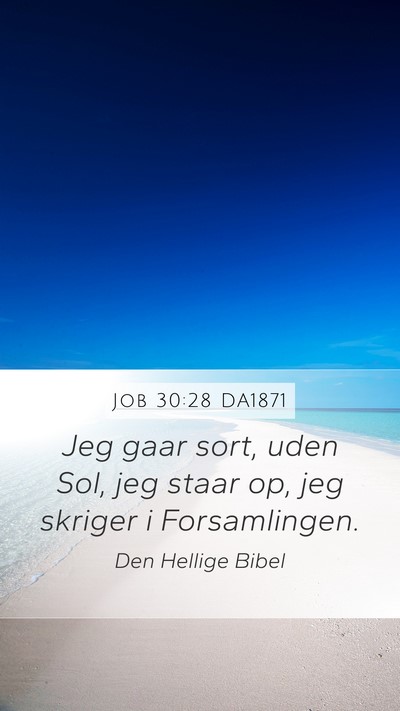 Job 30:28 DA1871 Bible Verse Image