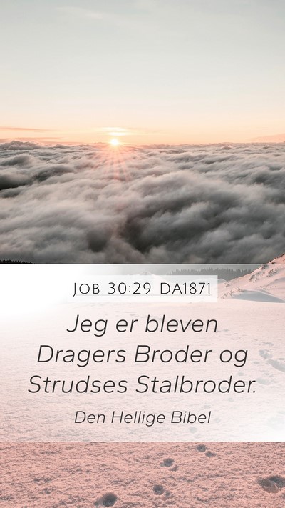 Job 30:29 DA1871 Bible Verse Image