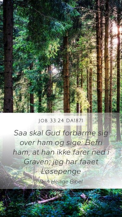 Job 33:24 DA1871 Bible Verse Image