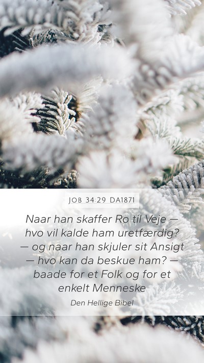 Job 34:29 DA1871 Bible Verse Image