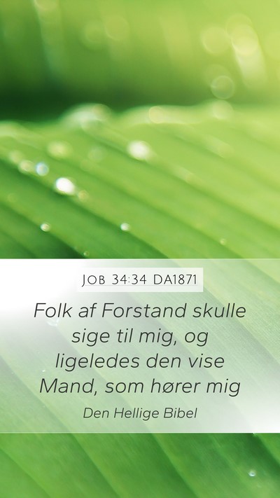 Job 34:34 DA1871 Bible Verse Image