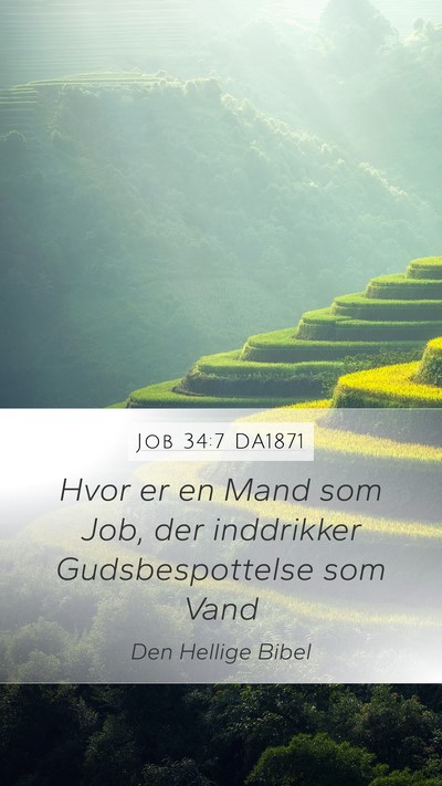 Job 34:7 DA1871 Bible Verse Image