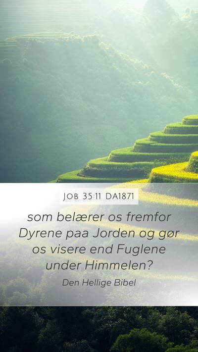 Job 35:11 DA1871 Bible Verse Image