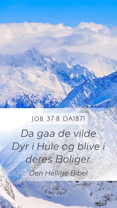 Job 37:8 DA1871 Mobile Phone Wallpaper - Da gaa de vilde Dyr i Hule og blive i deres - Mobile Bible Verse Wallpaper
