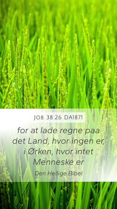 Job 38:26 DA1871 Bible Verse Image