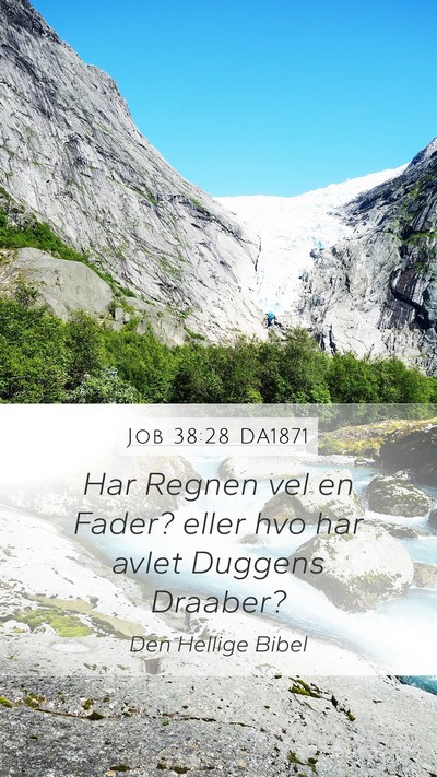 Job 38:28 DA1871 Bible Verse Image