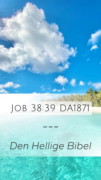 Job 38:39 DA1871 Bible Verse Image