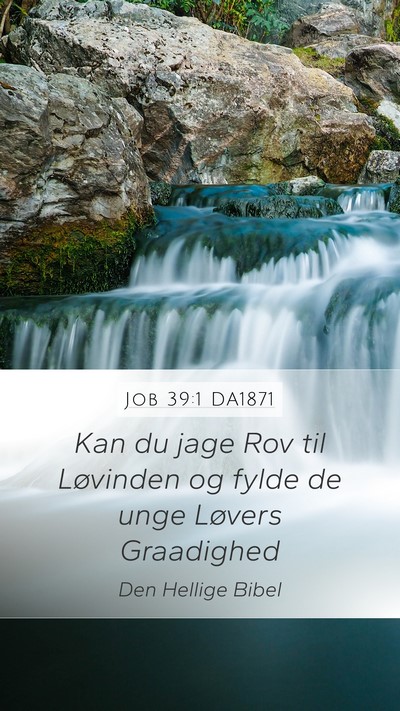 Job 39:1 DA1871 Bible Verse Image