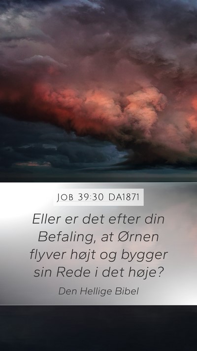 Job 39:30 DA1871 Bible Verse Image