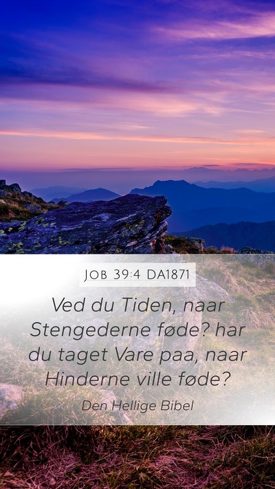 Job 39:4 DA1871 Bible Verse Image