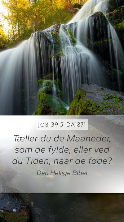 Job 39:5 DA1871 Bible Verse Image
