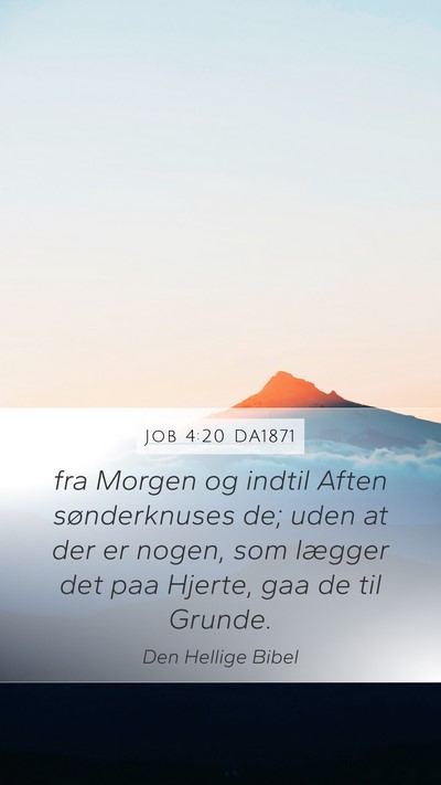 Job 4:20 DA1871 Bible Verse Image