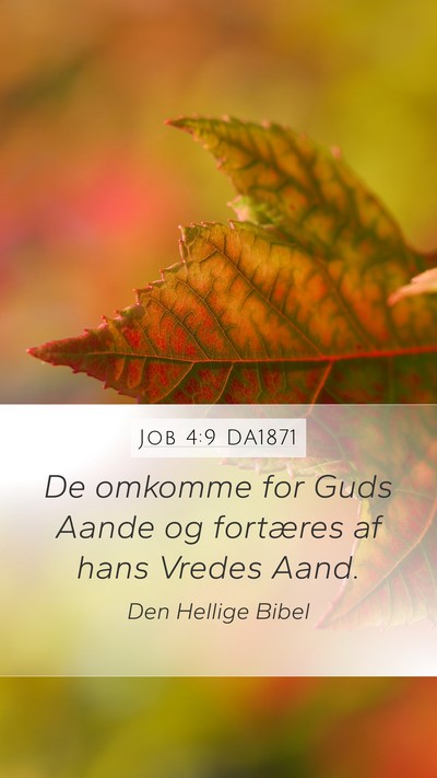 Job 4:9 DA1871 Bible Verse Image