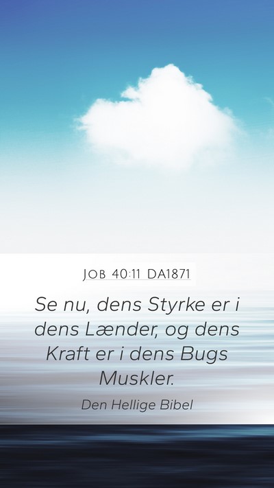 Job 40:11 DA1871 Bible Verse Image