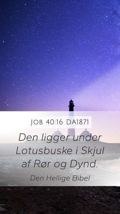 Job 40:16 DA1871 Mobile Phone Wallpaper - Den ligger under Lotusbuske i Skjul af Rør og - Mobile Bible Verse Wallpaper