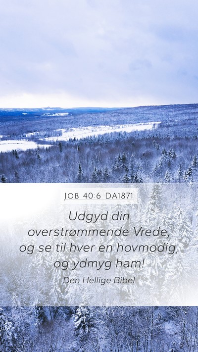 Job 40:6 DA1871 Bible Verse Image
