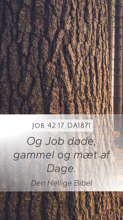 Job 42:17 DA1871 Bible Verse Image