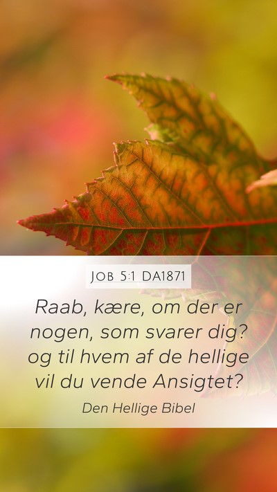 Job 5:1 DA1871 Mobile Phone Wallpaper - Raab, kære, om der er nogen, som svarer dig? og - Mobile Bible Verse Wallpaper