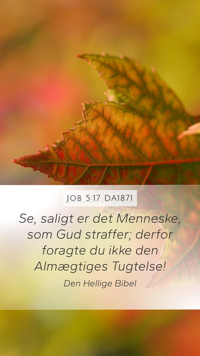 Job 5:17 DA1871 Bible Verse Image