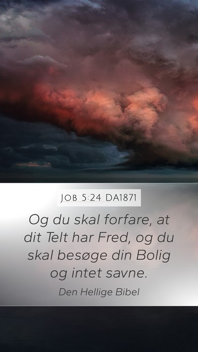 Job 5:24 DA1871 Bible Verse Image