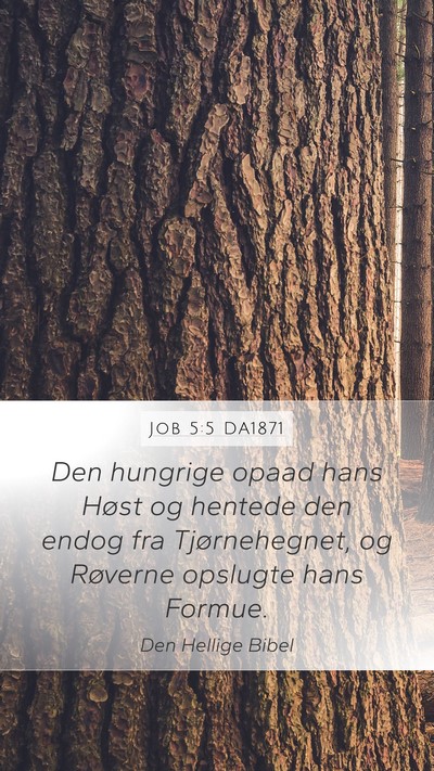 Job 5:5 DA1871 Bible Verse Image