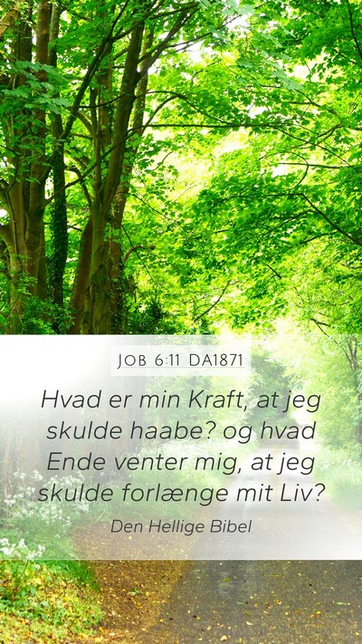 Job 6:11 DA1871 Bible Verse Image