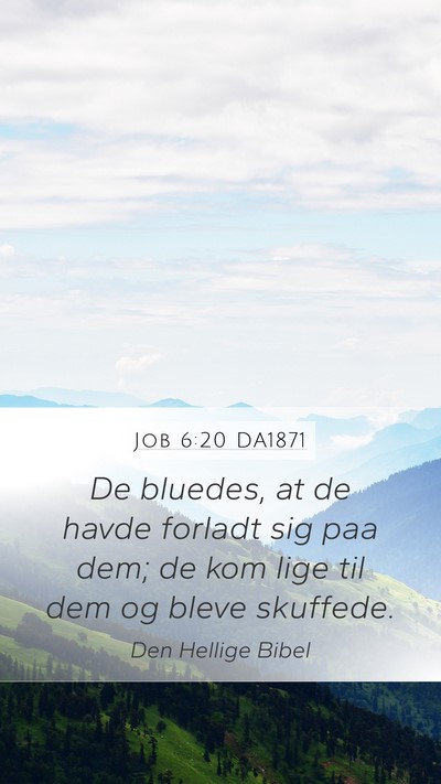 Job 6:20 DA1871 Bible Verse Image