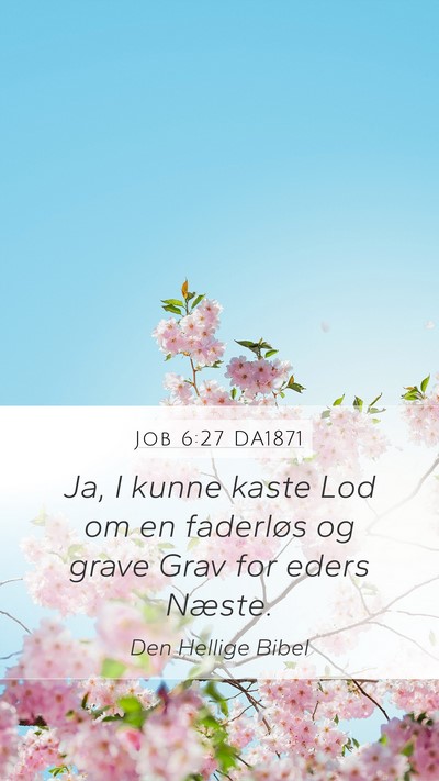 Job 6:27 DA1871 Bible Verse Image