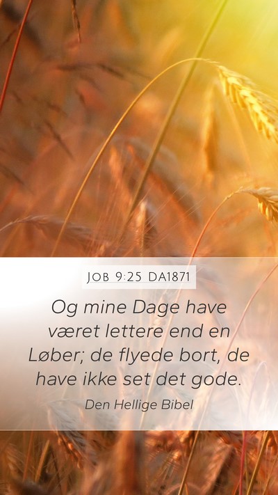 Job 9:25 DA1871 Bible Verse Image