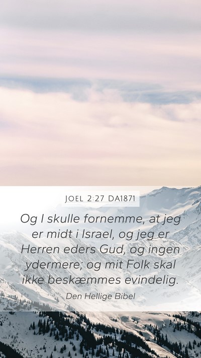 Joel 2:27 DA1871 Bible Verse Image