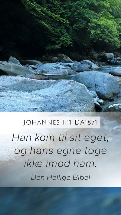Johannes 1:11 DA1871 Bible Verse Image