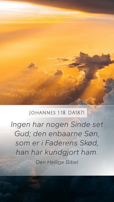 Johannes 1:18 DA1871 Bible Verse Image