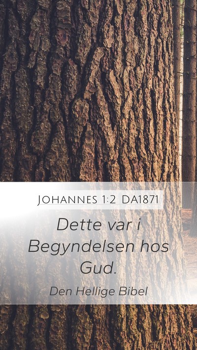 Johannes 1:2 DA1871 Bible Verse Image
