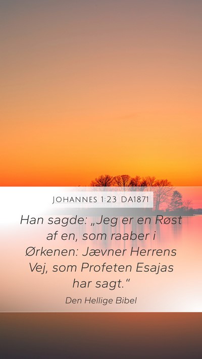 Johannes 1:23 DA1871 Bible Verse Image