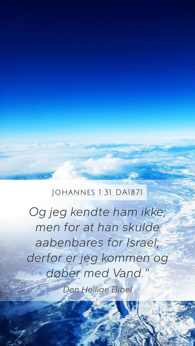 Johannes 1:31 DA1871 Bible Verse Image