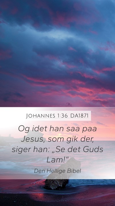 Johannes 1:36 DA1871 Bible Verse Image