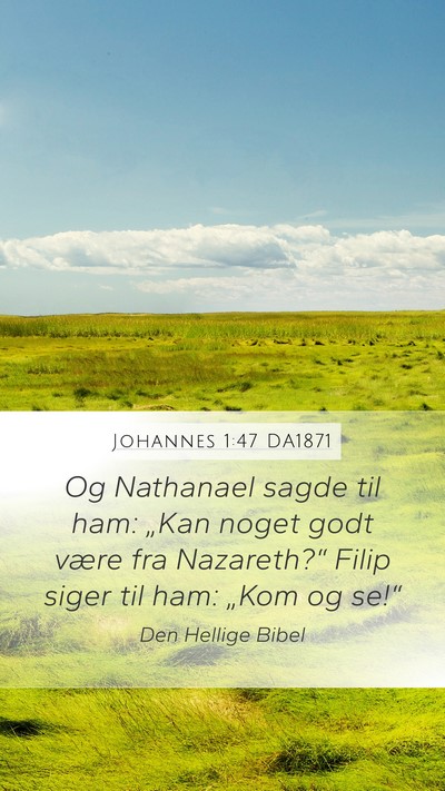 Johannes 1:47 DA1871 Bible Verse Image