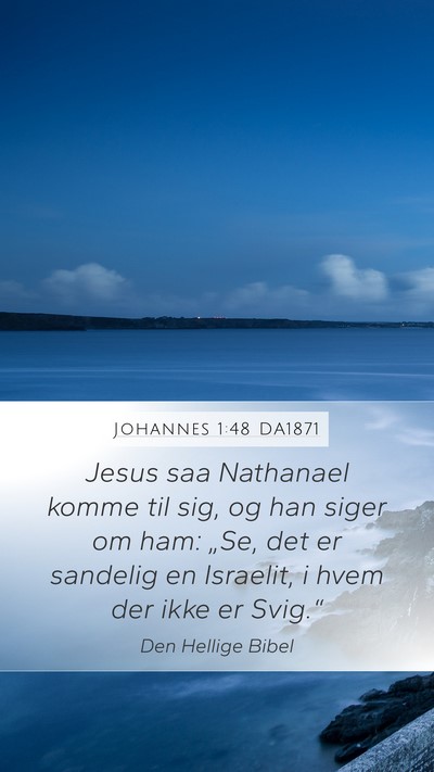 Johannes 1:48 DA1871 Bible Verse Image