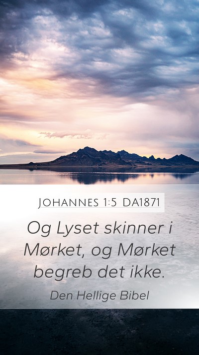 Johannes 1:5 DA1871 Bible Verse Image