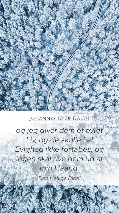 Johannes 10:28 DA1871 Bible Verse Image